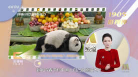 国产精品黄在线观看观看